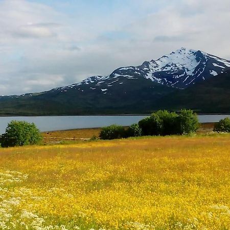 Vikran Apartments Na Koncu Swiata Bagian luar foto