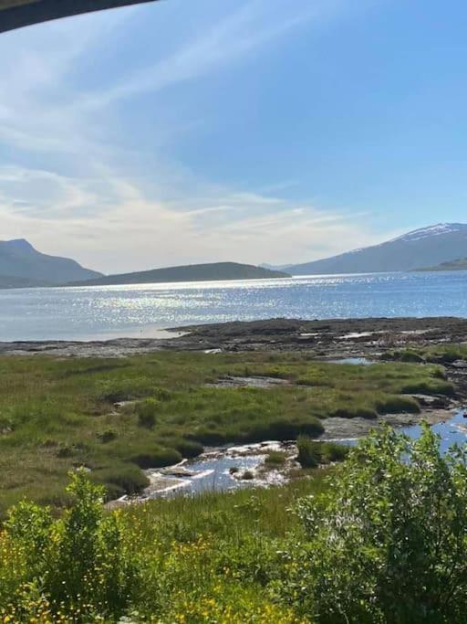 Vikran Apartments Na Koncu Swiata Bagian luar foto
