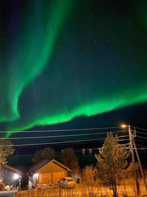 Vikran Apartments Na Koncu Swiata Bagian luar foto