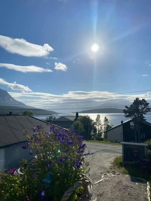 Vikran Apartments Na Koncu Swiata Bagian luar foto