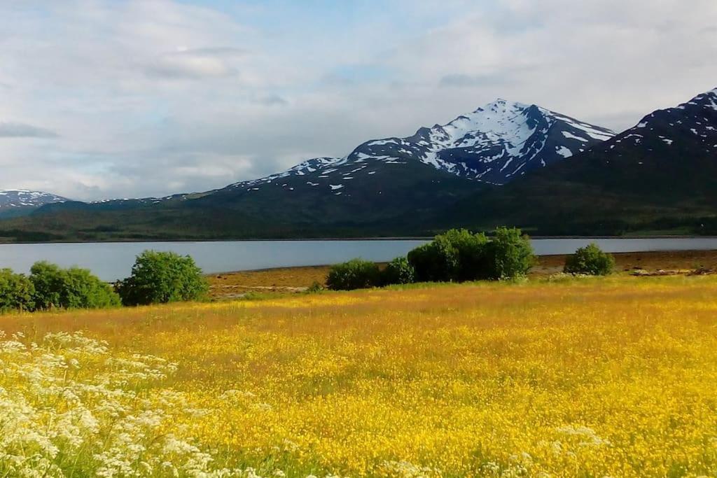 Vikran Apartments Na Koncu Swiata Bagian luar foto